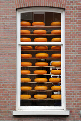 Delft - Käse im Fenster - Niederlande 