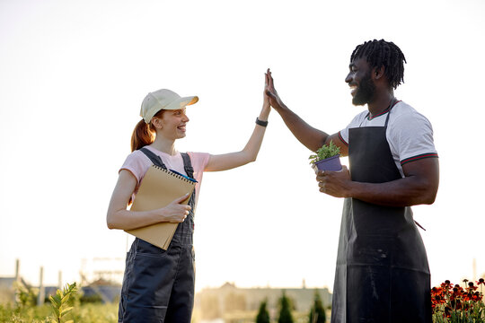 black man and caucasian woman engineers give high five to each other after successful inspecting greenhouse organic farm business construction. Multi-sex farmers. Man and woman. Agronomy concept