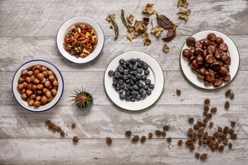 Autumn still life with chestnuts, assorted dried fruits, ripe blueberries and shelled hazelnuts