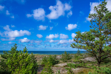 Fototapeta na wymiar dunes over the Baltic Sea