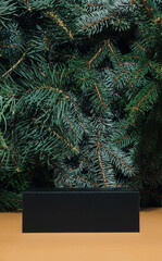 Modern product winter display on evergreen tree branches creative background with podiums. Suitable for Product Display and Business Concept. New Year or Christmas podium idea.
