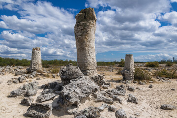 Stone columns in Pobiti Kamani - natural phenomenon called Stone Forest in Bulgaria