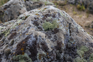 Lichen on a rock in Pobiti Kamani - natural phenomenon called Stone Forest in Bulgaria