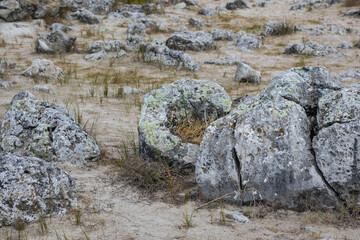 Close up on a rock in Pobiti Kamani - natural phenomenon called Stone Forest, Bulgaria