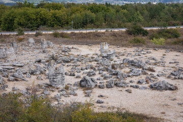 Pobiti Kamani rock formations area called Stone Forest in Bulgaria