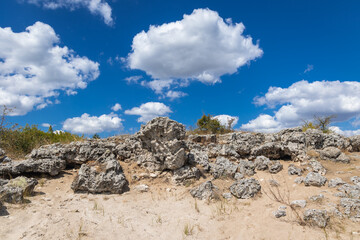 Fototapeta na wymiar Rocks in Pobiti Kamani - natural phenomenon also known as The Stone Forest in Bulgaria