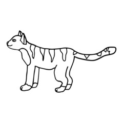 Cartoon hand drawn doodle cat. 
