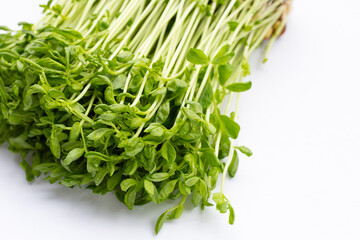 Pea Sprouts on white background.