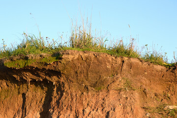 Texture layers of earth. Cross section of green grass and underground soil layers beneath. Natural...