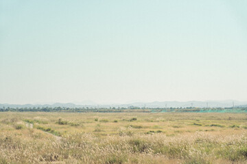 햇살 좋은 드넓은 들판