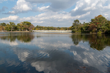大きな雲が浮かぶ青空が池の水面に映り込み、池の周囲の木々が色づいている晩秋の公園