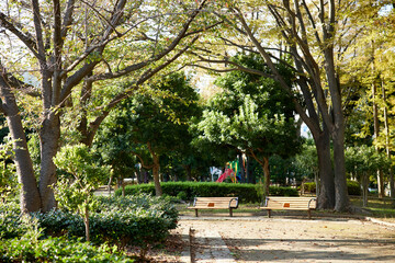無人の東京の公園
