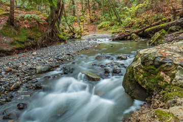 long exposure of water running down a beautiful creek in the forest
