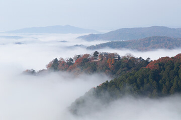 雲海と紅葉が美しい天空の城　備中松山城