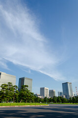 青空のしたの皇居