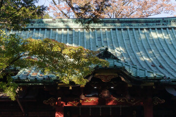 東京、赤坂氷川神社の境内の風景　赤坂、港区、東京、日本