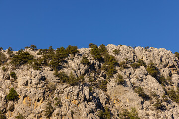 beautiful mountains in autumn season