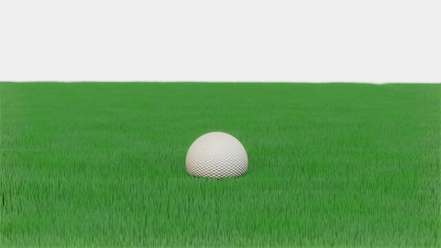 a golf ball is rolling on the lawn. looped animation. 3d render