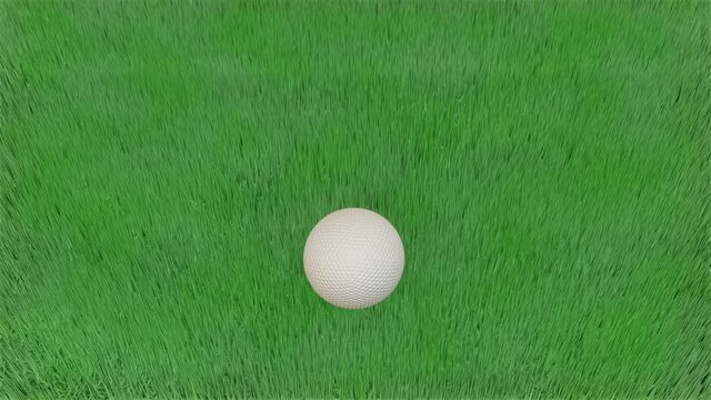 a golf ball is rolling on the lawn. looped animation. 3d render