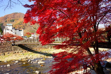 栃木県 紅の吊橋
