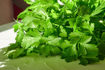 Green juicy parsley on a white background