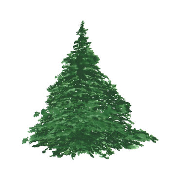 Spruce tree isolated on a white background. Watercolor Christmas tree clipart. Landscape scene object. Hand-drawn green pine tree illustration. Silhouette of an evergreen plant.