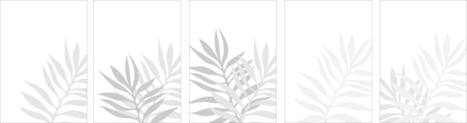 banner with leaves, poster, palm leaves, tropics, gray, office, decor, postcard, branch, palm branch, painting, interior, bedroom, minimalism, scandinavian, feathers, house, wall, design