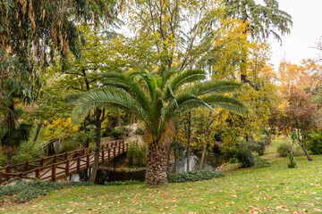 Autumn colors in El Retiro park in Madrid