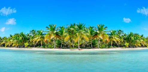 Fototapeta na wymiar Image of sunny happiness, on a tropical vacation spot .