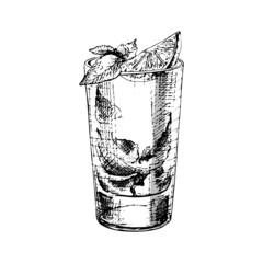 Mojito cocktail with lime and mint in highball glass. Vintage hatching vector