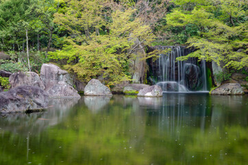 日本庭園と滝