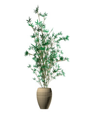 Home flower with long stem and green leaves isolated on white background. 3D. Vector illustration