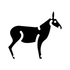 donkey animal glyph icon vector. donkey animal sign. isolated contour symbol black illustration