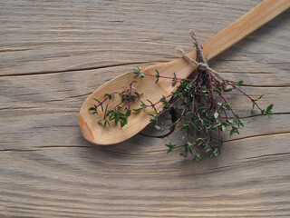 Twigs of thymus vulgaris grass in a wooden spoon on a wooden table, flat layout. Medicinal plant...