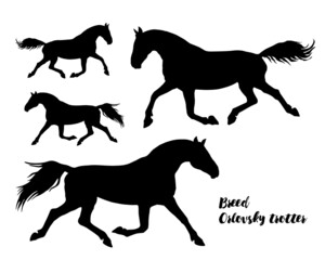 a set of realistic black silhouettes of running horses isolated on a white background 