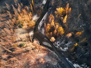 Fototapeta na wymiar Aerial shot of the river in the autumn forest
