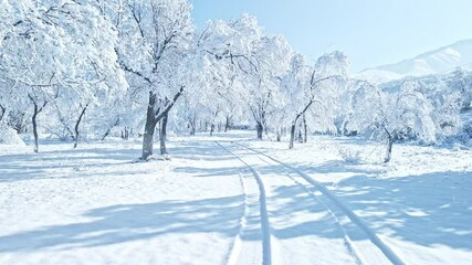 Aerial view on the river and forest at the winter time. Natural winter landscape from air. Forest under snow a the winter time. Landscape from drone - Powered by Adobe