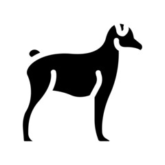 dog pet animal glyph icon vector. dog pet animal sign. isolated contour symbol black illustration