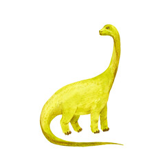 Brachiosaurus isolated on white. Green dinosaur. Watercolor illustration.