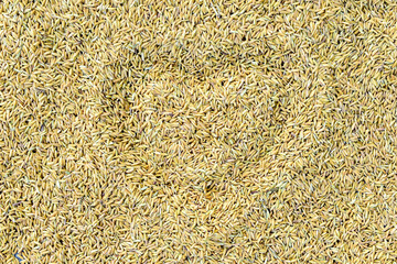 Brown rice grain close-up background drawn beautiful heart shape