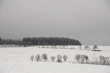 Winter landscape at the german area called Rothaargebirge