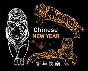 New Year and christmas set with tigers and chinese new year lettering in chinese. Symbol of the year. Hand drawn sketch illustration