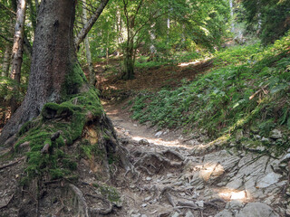 Obraz premium Alpi Feltrine mountains. South-Eastern Alps. Italy