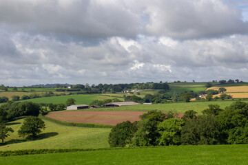 distant Devon rolling hills with green grazing land, hedgerows and trees with a few white clouds and blue skies