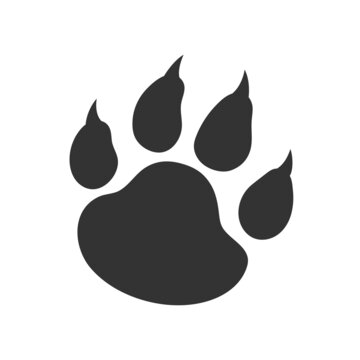 Tiger paw black footprint, silhouette. Stylized vector illustration for Chinese new year and t-shirt print. Cat paw footprint