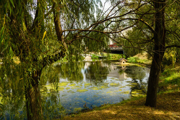 Belgorod Victory Park (Park Pobedy) in Summer. Vezelka river