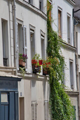 the facade of the building
