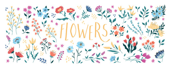 Collection. Flat decorative cute elements, elegant icons. Different color. Cartoon cute plants set.