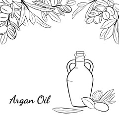 Organic essential oil sketch. Vector set of hair ingredients.Organic hand  drawn elements. Argan nuts, branch, bottle oil.