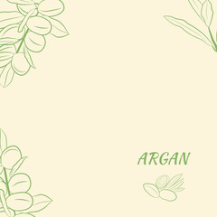Obraz premium Sketch of branch argania with fruits. Hand-drawn illustration. Branch of argan with nuts. Cosmetic and medical plant. Set of argania tree.
